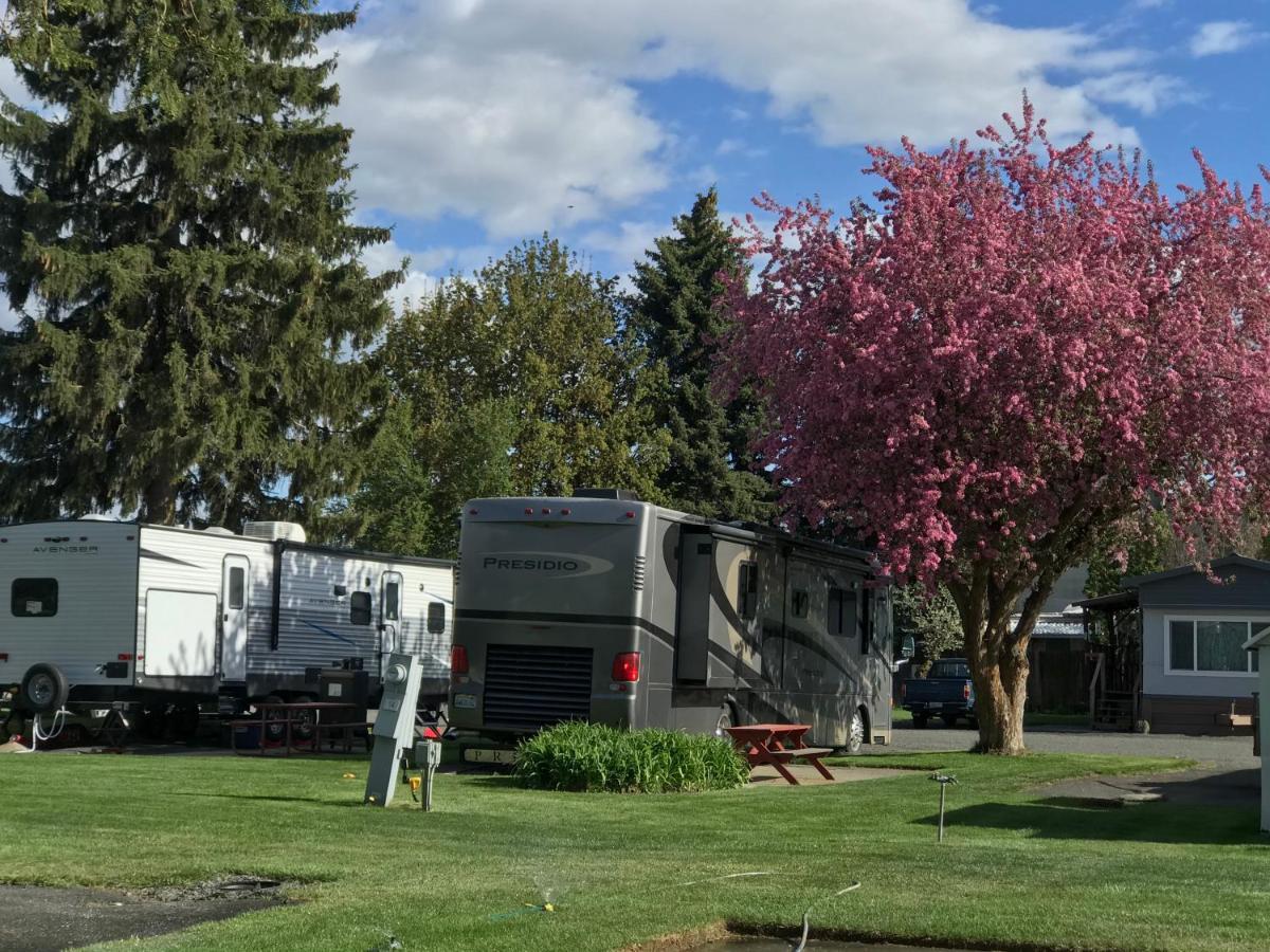 Goose Creek Rv Park & Campground Wilbur エクステリア 写真
